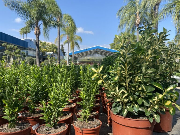 Las herramientas necesarias para el mantenimiento del jardín