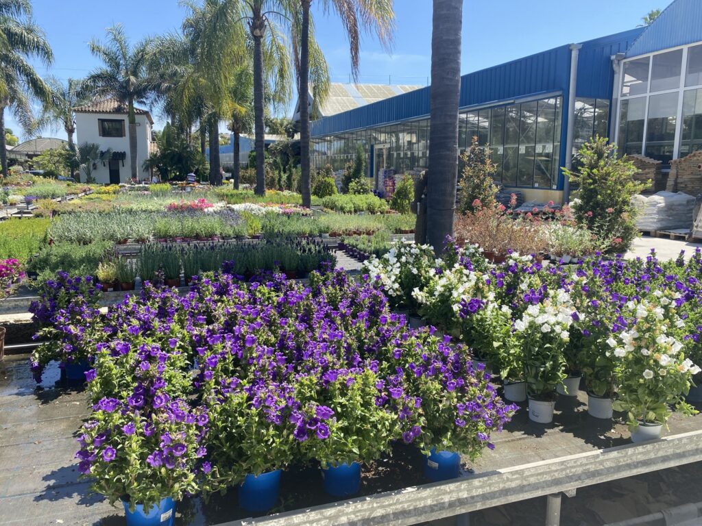 Vista exterior de las instalaciones de Viveros del Valle en Estepona – garden center y centro de jardinería de la Costa del Sol