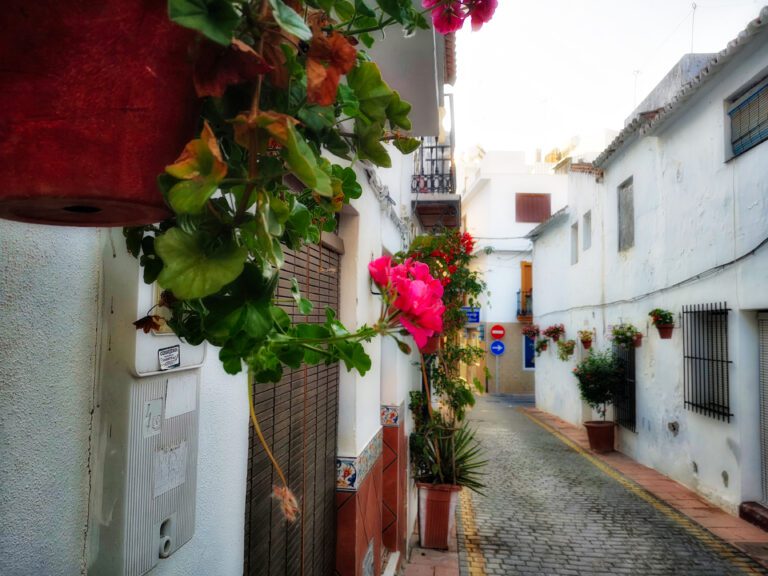 Las claves para un huerto ecológico y sostenible