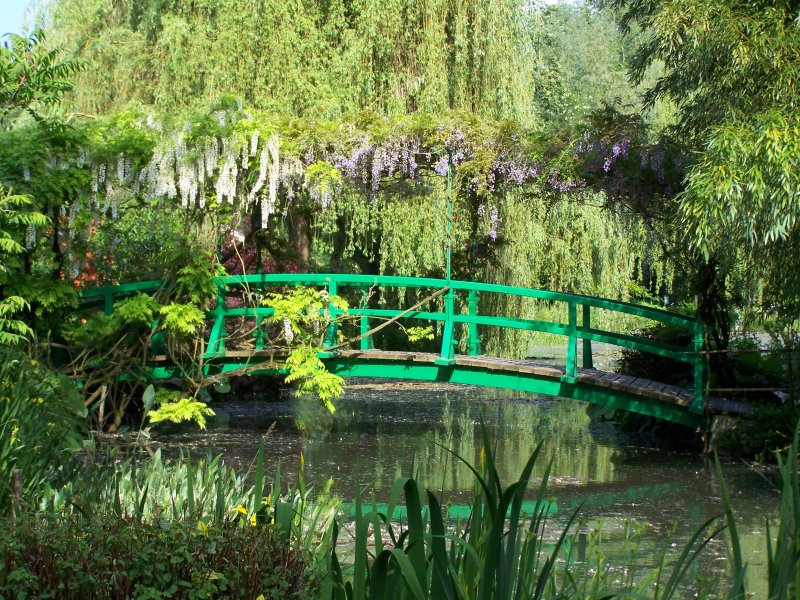 Los árboles de hoja caduca