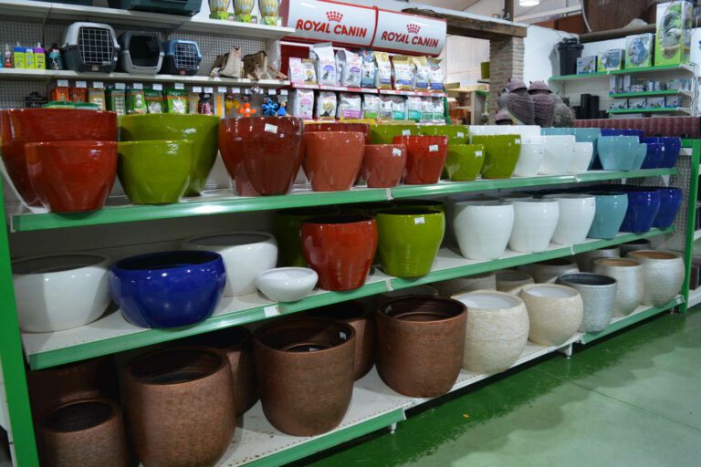 La jardinería como terapia saludable