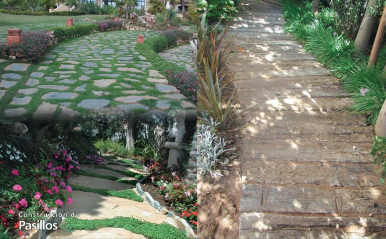 Guía básica de paisajismo para jardines
