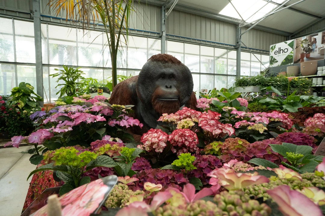 Zona de exposición de plantas en Viveros del Valle Estepona – centro de jardinería y paisajismo en la Costa del Sol