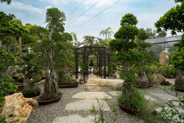 Árboles pequeños ideales para jardines pequeños
