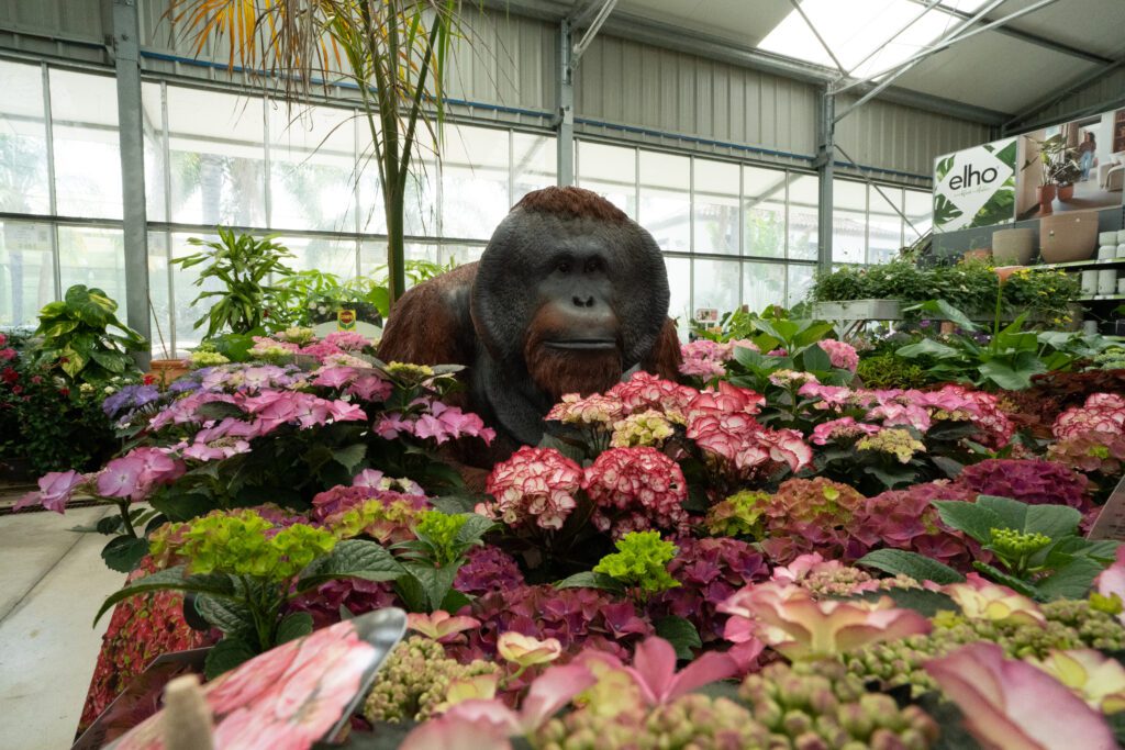 Vista general de las instalaciones de Viveros del Valle en Estepona – centro de jardinería y plantas ornamentales Costa del Sol