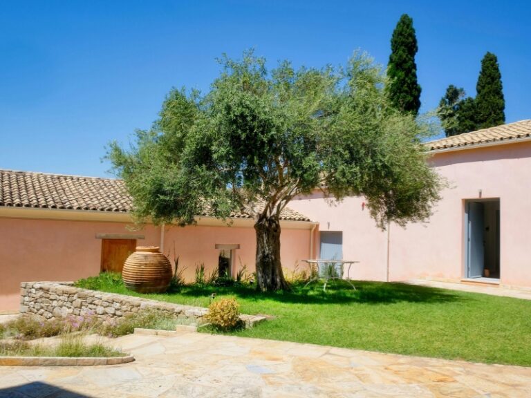 Guía completa para crear un jardín mediterráneo